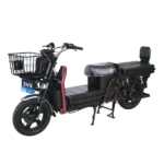 NewtonEV Lodel 350 (70 km/h, Range: 120+KM) (Detachable Battery)