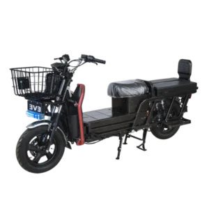 NewtonEV Lodel 350 (70 km/h, Range: 120+KM) (Detachable Battery)